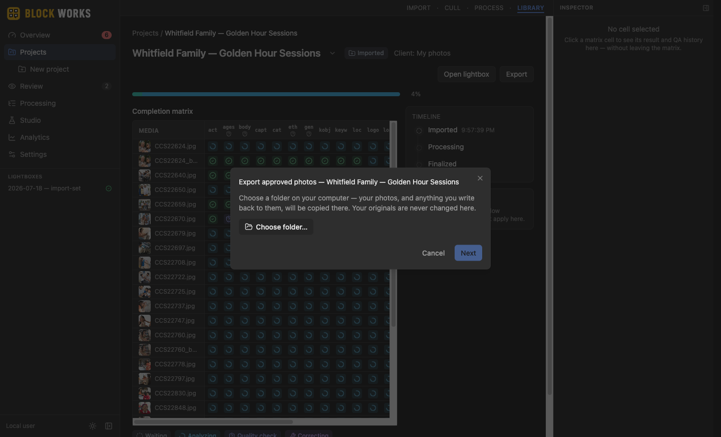 Export dialog for approved photos, with the live completion matrix in the background tracking every image across all 21 analysis types