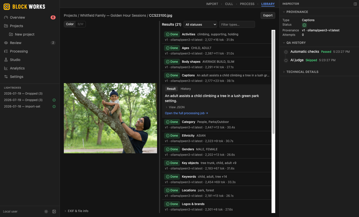 Media inspector showing a real photo alongside all 21 generated metadata fields and their QA history, side by side